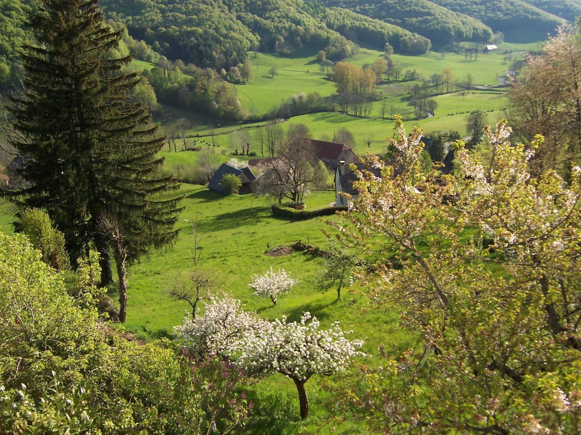 Auberge Hotel De Tournemire - Cantal Exterior foto