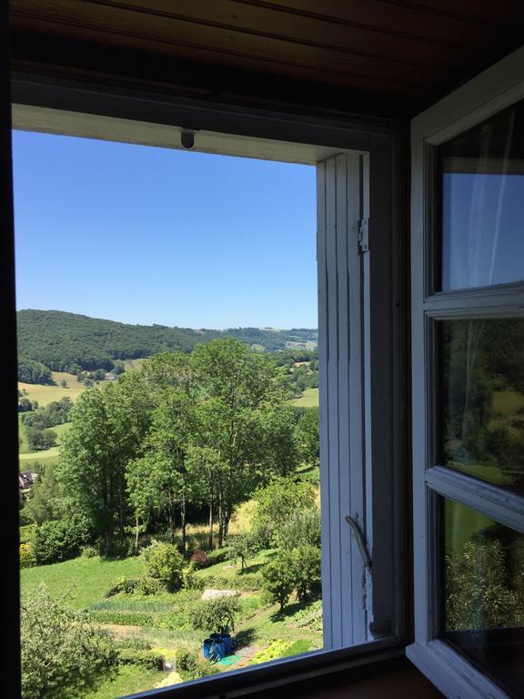 Auberge Hotel De Tournemire - Cantal Exterior foto